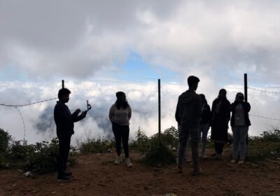 What Customers Need in Munnar: A Real Tours and Travel Guide