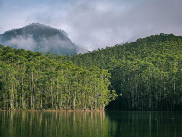 Echo Trails – Mattupetty