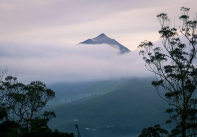 15 Things to Do in Munnar That’ll Make You Never Want to Leave