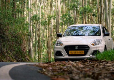 Your Complete Guide to Getting Around Munnar  Without the Stress