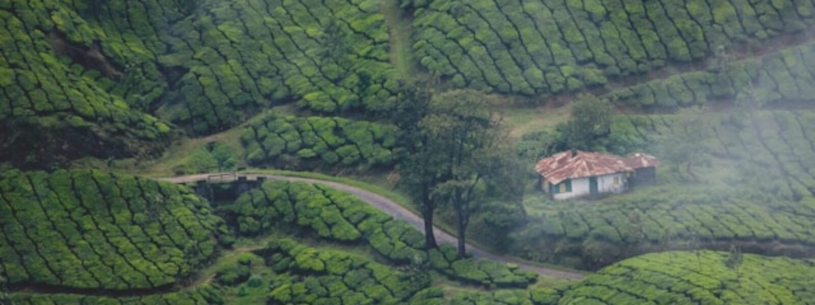 Munnar
